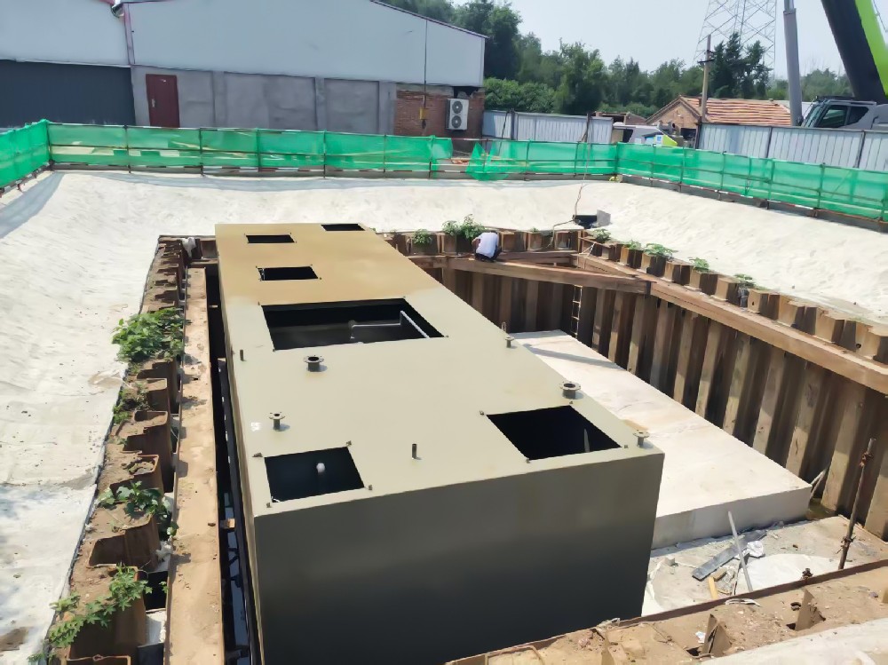 棕榈油加工废水处理：挑战与解决方案