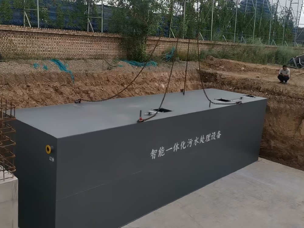 清洗鸡爪废水处理：守护食品安全与环境的防线